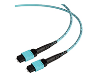Camplex CMX-MTPMM MTP Single Mode or Multimode Fiber Cables with Plenum Rated Jackets
