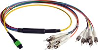 Camplex CMX-MTPMM & CMX-MTPSM MTP ST or LC 12 Fiber Breakout Cables