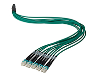 Camplex HFPM310LCLC0100 10-Channel LC OM3 Multimode Plenum LC Fiber Optic Cable 100 Foot