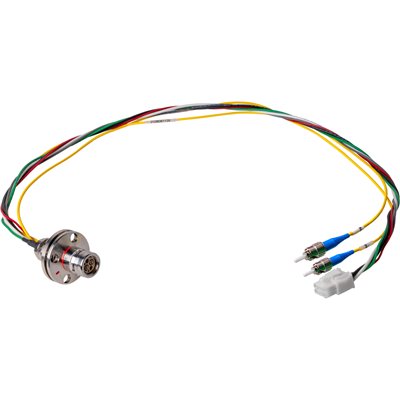 HF-FXWBP8ST-XXIN.jpg